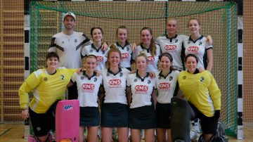 Wiederaufstieg knapp verpasst